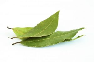 Recept – bobkový list na soli v kĺboch
